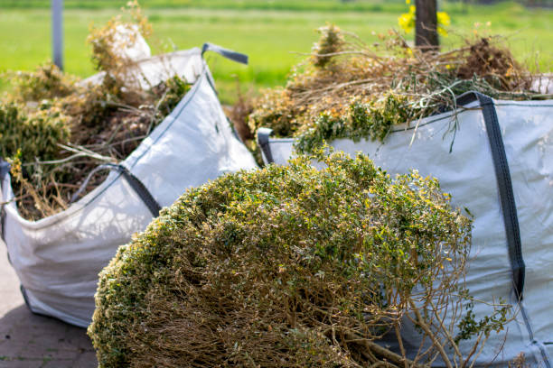 Best Attic Cleanout Services  in North College Hill, OH